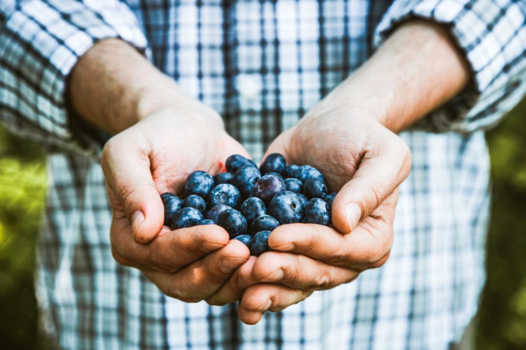 ANTHOCYANIN: THE SUPER PIGMENT - FBIO