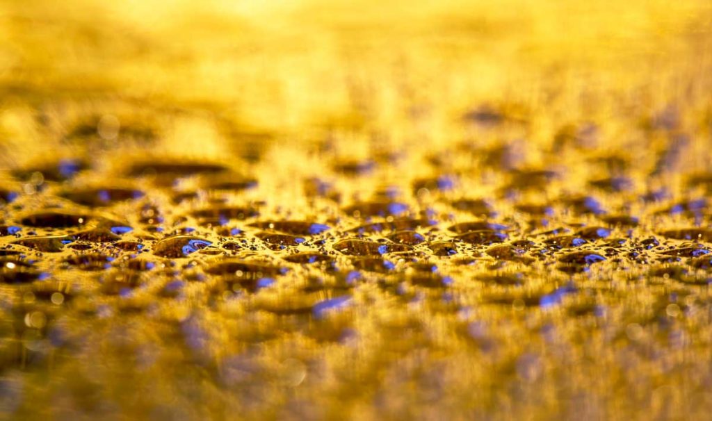 Best Essential Oil Brands In Malaysia For 2023 FBIO